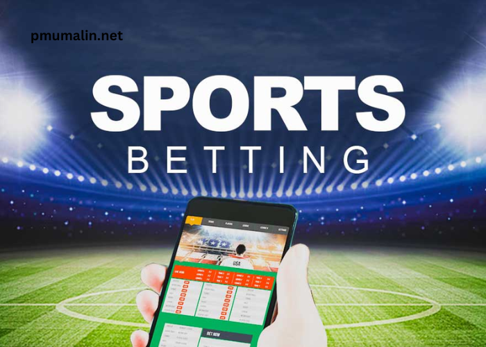 Pros and Cons of Sports Betting – Why Bet on Sports?