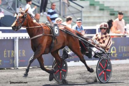 Canalturf Du Jour