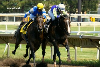 Equidia Turf Pronostic