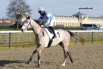 Geni Du Turf Vip