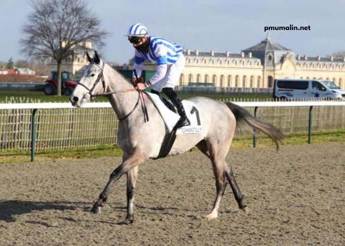 Geni Du Turf Vip