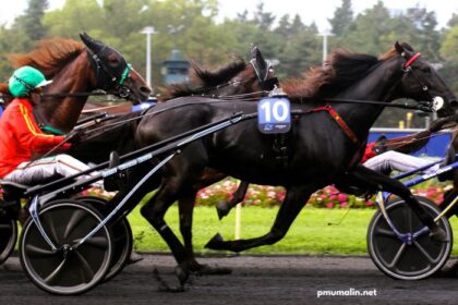 Passage Obligé 100 Gagnant