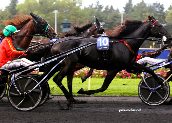 Passage Obligé 100 Gagnant