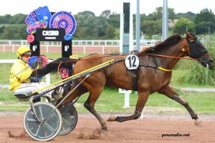 Pmu Malin 100 Ordre