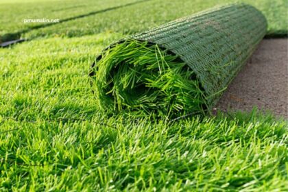 Promo Turf 100