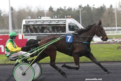 Pronostic en or Gratuite