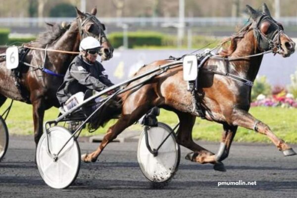 Base Couple Gagnant