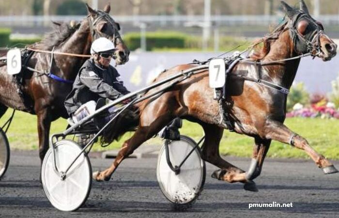 Base Couple Gagnant