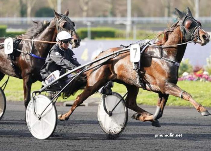 Base Couple Gagnant