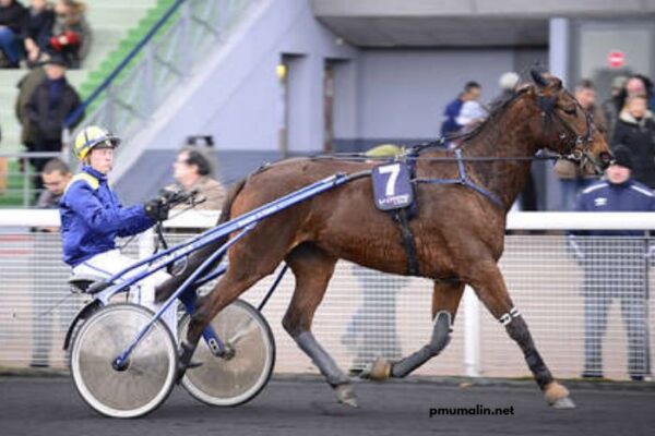 Clé Milliard Turf