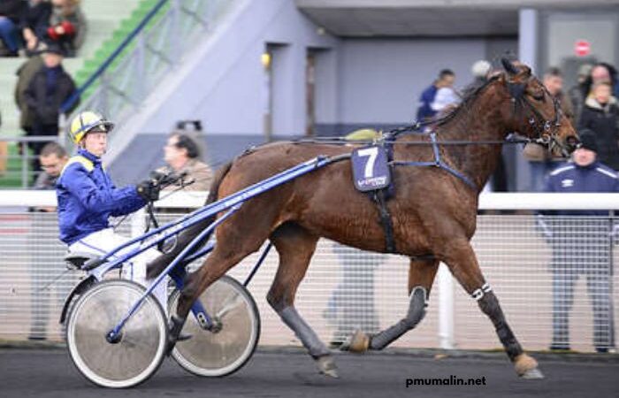 Clé Milliard Turf