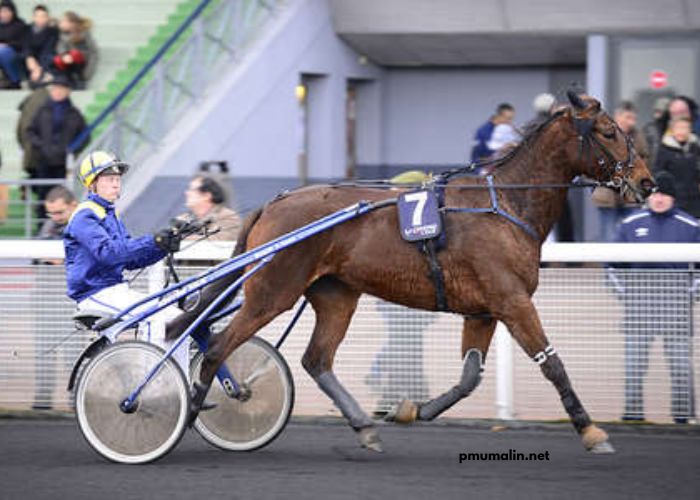Clé Milliard Turf