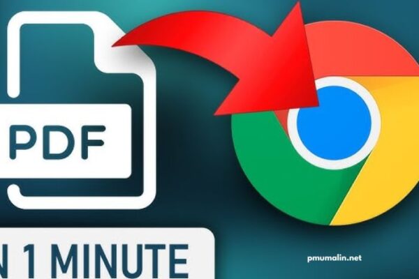 Comment Ouvrir Un Fichier Pdf (2)