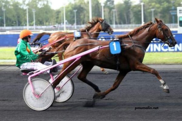 Derniere Minute Turf
