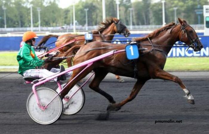 Derniere Minute Turf