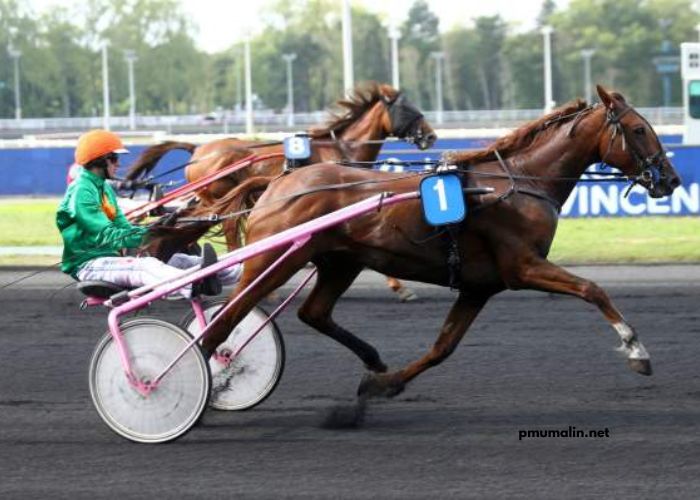 Derniere Minute Turf