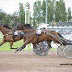 Expert Du Turf Pronostic Gratuit
