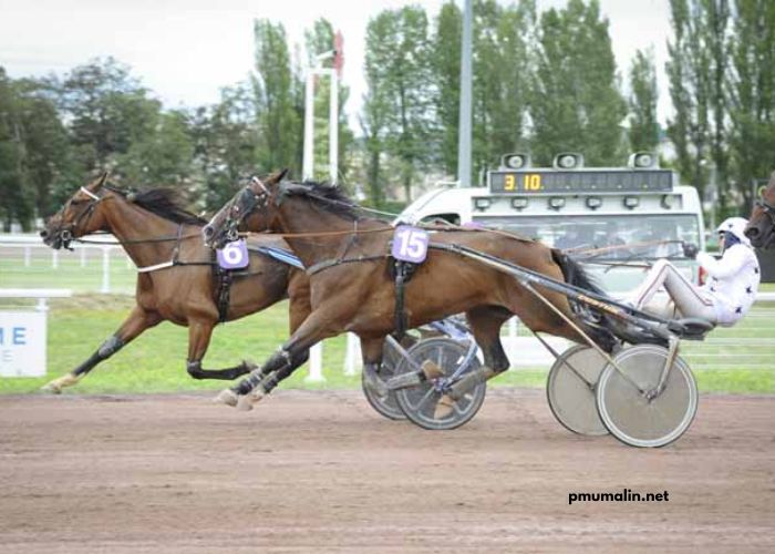 Expert Du Turf Pronostic Gratuit