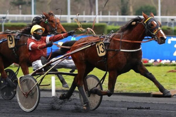 LA Richesse Turf