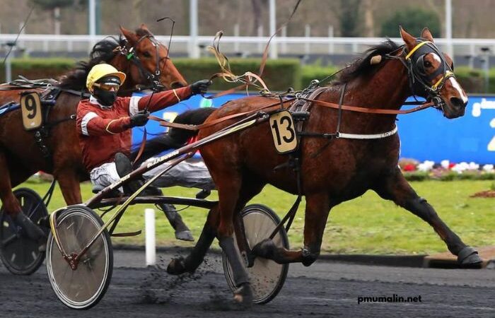 LA Richesse Turf