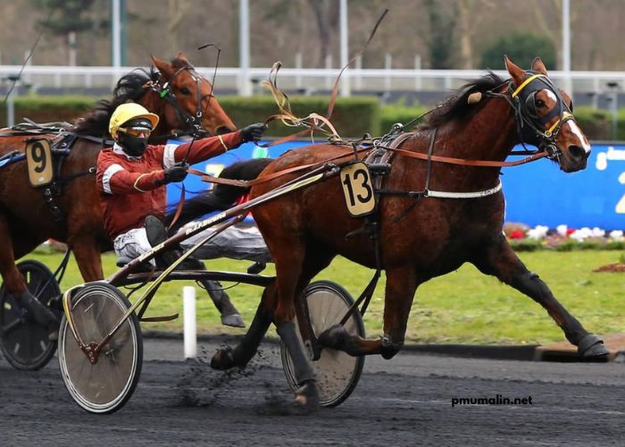 LA Richesse Turf