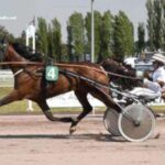 LA Voyeuse Cplemaire