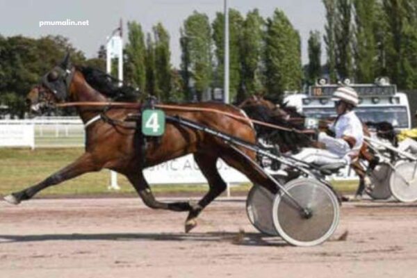 LA Voyeuse Cplemaire