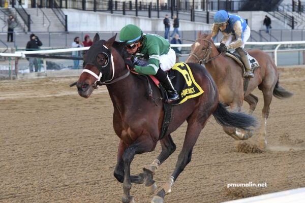Paris-Promise Turf