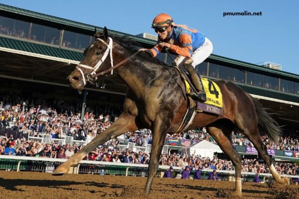 Pronostic Gratuit Turf 100