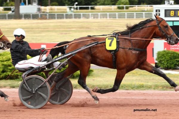 Pronostic Quinté Demain