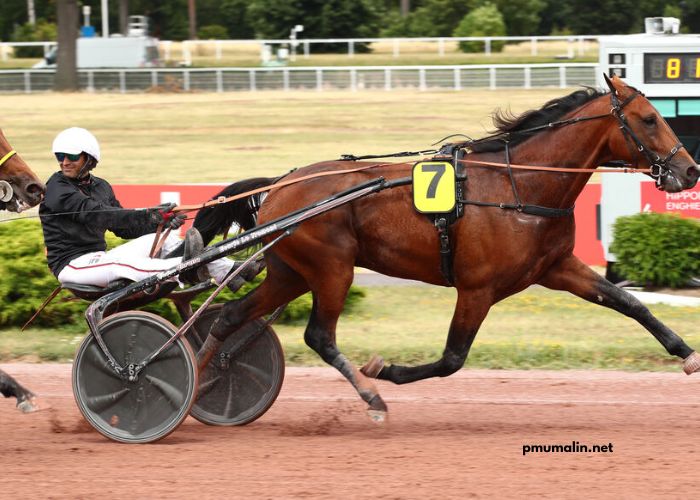 Pronostic Quinté Demain