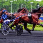 Quinté Gagnant Vip