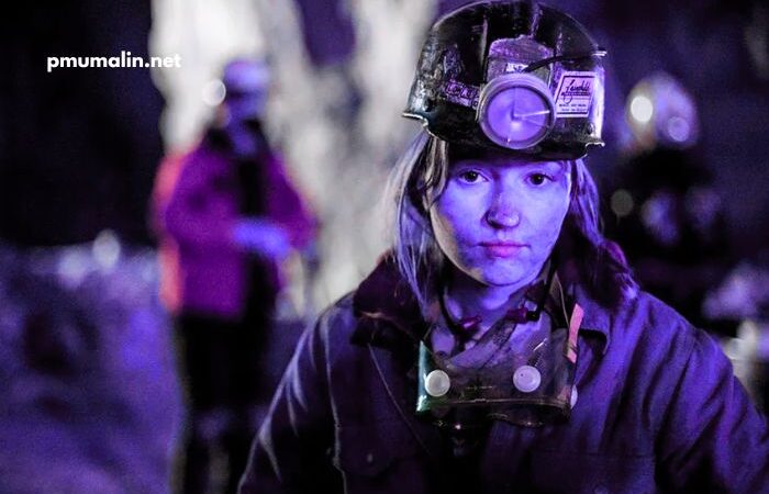 Mallumvd Platform Review Guide Content Trends And Features